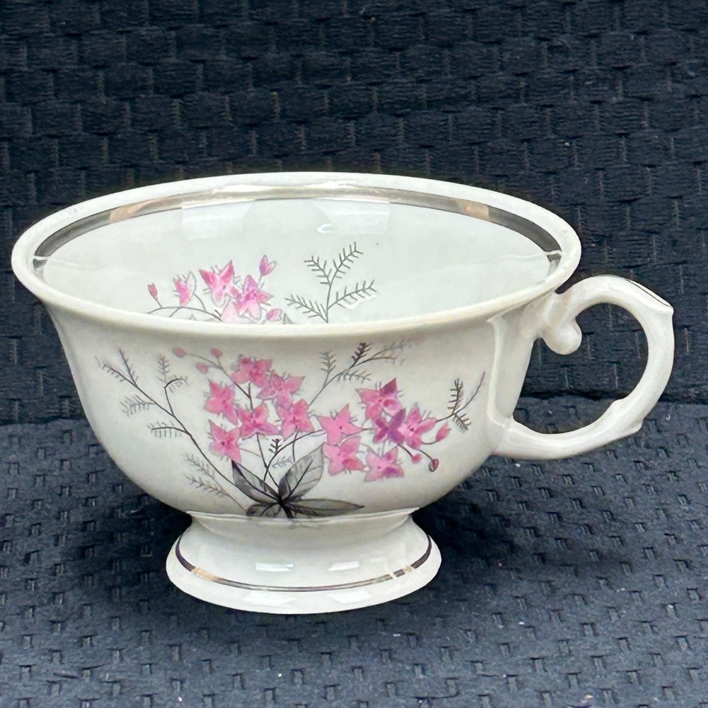Karolina Poland China Teacup‎ Pink Floral Silver Trim Vintage Porcelain 3879 18
